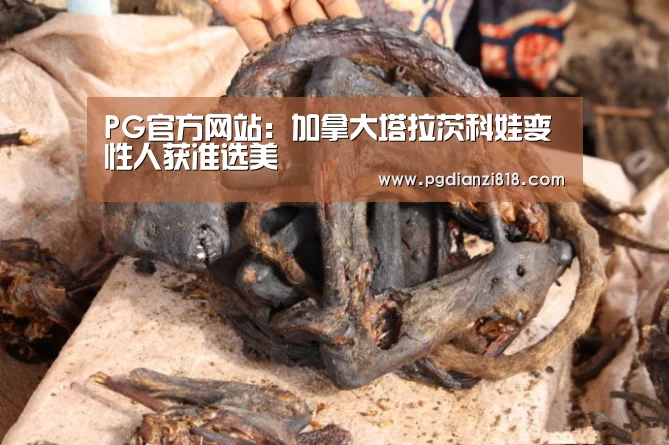 PG真人娱乐