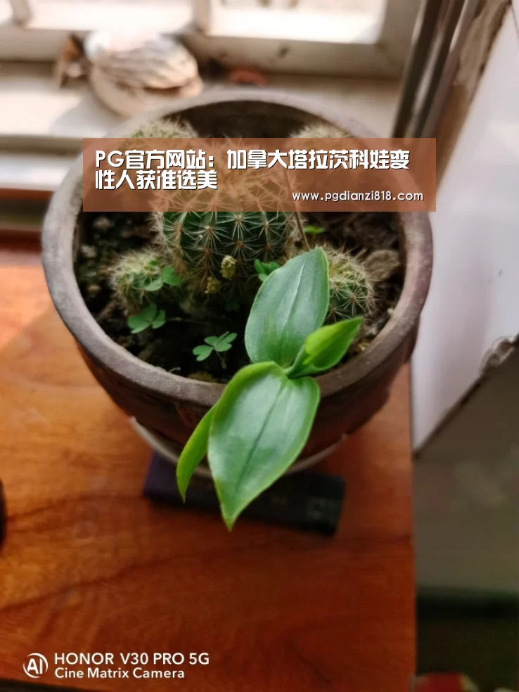 PG官方网站