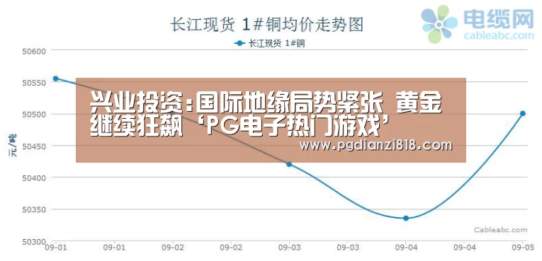 PG电子官方入口