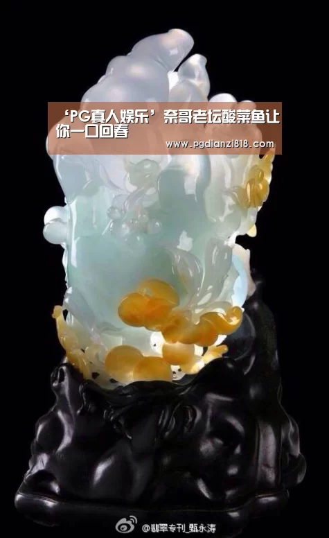‘PG真人娱乐’奈哥老坛酸菜鱼让你一口回春(图2) PG官方网站