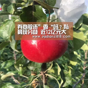 PG真人娱乐